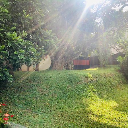 47 Alfred House - Free Pickup From Kandy City المظهر الخارجي الصورة