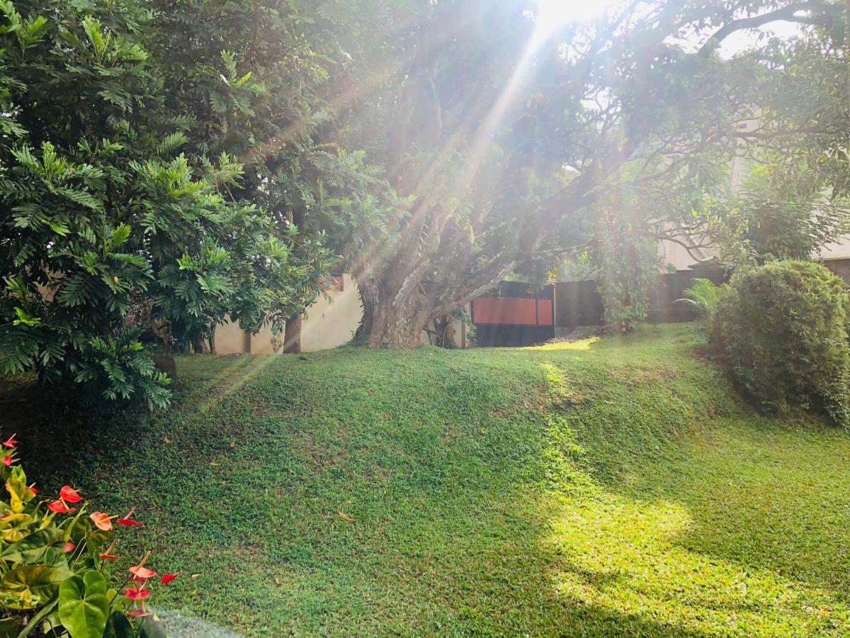 47 Alfred House - Free Pickup From Kandy City المظهر الخارجي الصورة