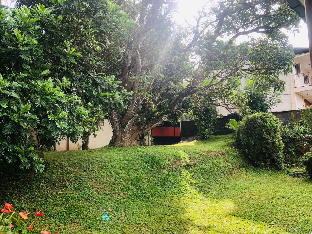 47 Alfred House - Free Pickup From Kandy City المظهر الخارجي الصورة
