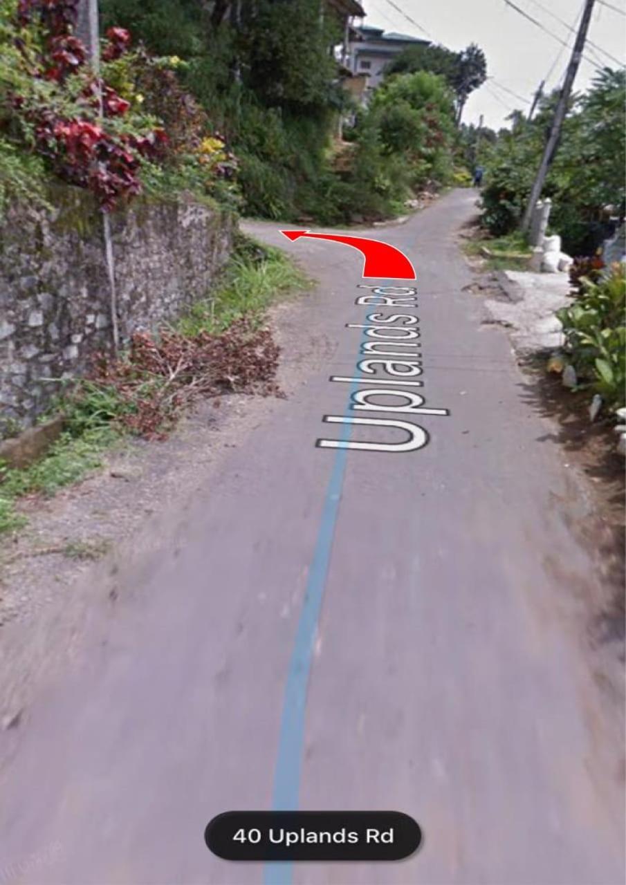 47 Alfred House - Free Pickup From Kandy City المظهر الخارجي الصورة